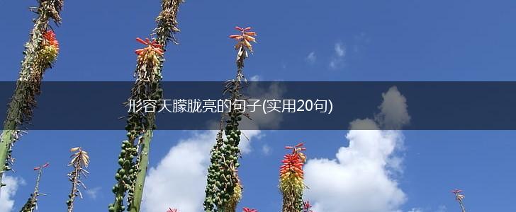 形容天朦胧亮的句子(实用20句),第1张