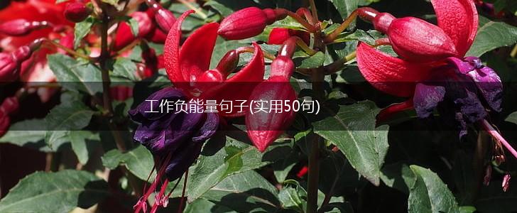 工作负能量句子(实用50句),第1张