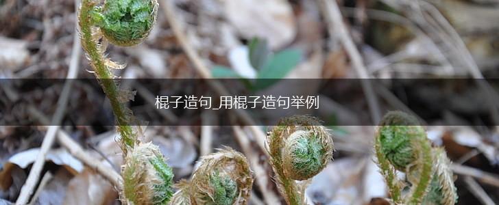 棍子造句_用棍子造句举例,第1张 棍子造句_用棍子造句举例,第1张