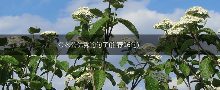 夸老公优秀的句子(推荐16句),第1张