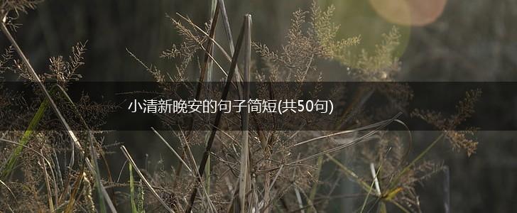 小清新晚安的句子简短(共50句),第1张