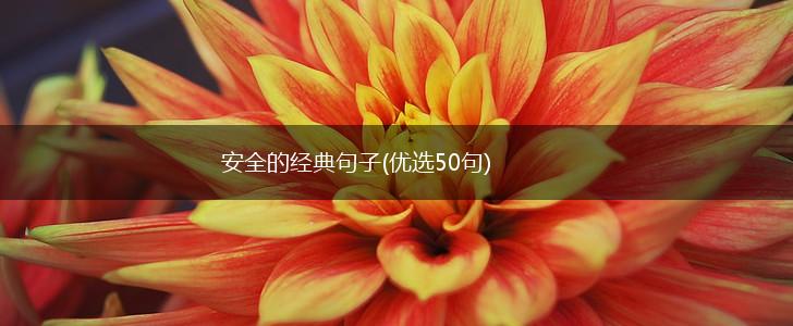 安全的经典句子(优选50句),第1张