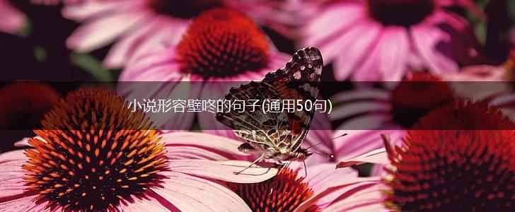 小说形容壁咚的句子(通用50句),第1张