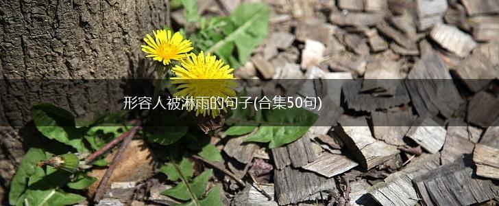 形容人被淋雨的句子(合集50句),第1张