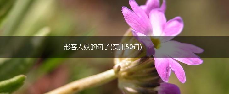 形容人妖的句子(实用50句),第1张