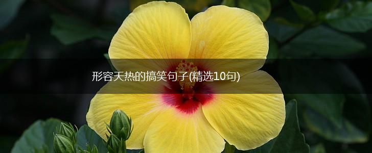 形容天热的搞笑句子(精选10句),第1张