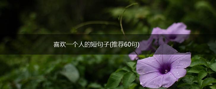 喜欢一个人的短句子(推荐60句),第1张
