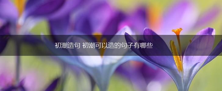 初潮造句 初潮可以造的句子有哪些,第1张