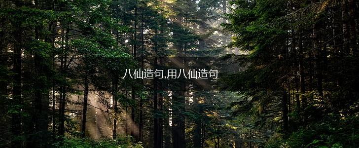 八仙造句,用八仙造句,第1张