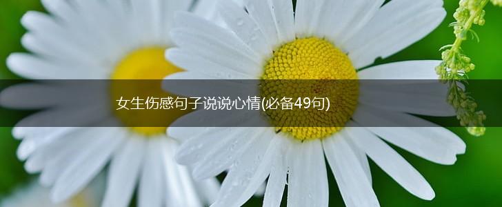 女生伤感句子说说心情(必备49句),第1张
