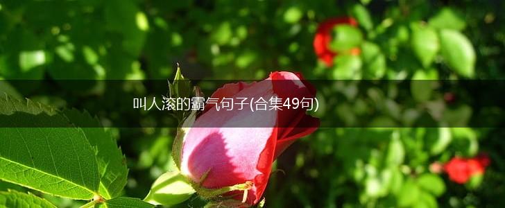 叫人滚的霸气句子(合集49句),第1张