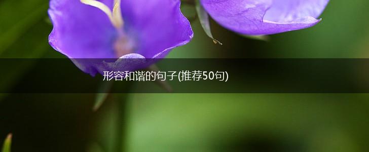形容和谐的句子(推荐50句),第1张
