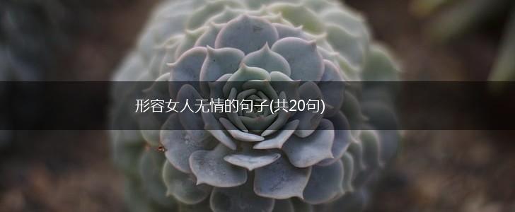 形容女人无情的句子(共20句),第1张