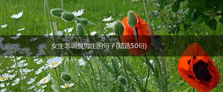 女生怎调侃男生的句子(精选50句),第1张