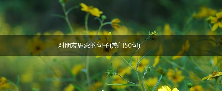 对朋友思念的句子(热门50句),第1张