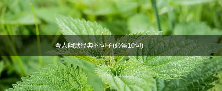 夸人幽默经典的句子(必备10句),第1张