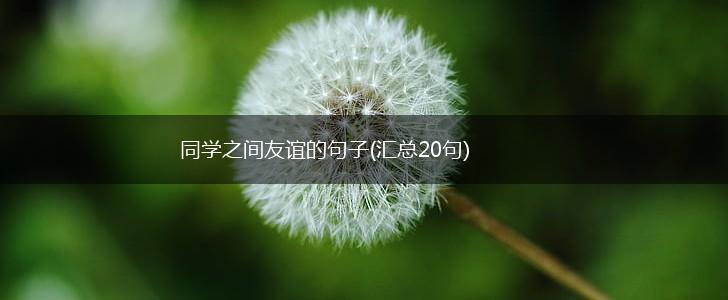 同学之间友谊的句子(汇总20句),第1张