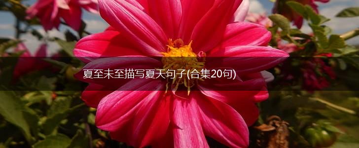 夏至未至描写夏天句子(合集20句),第1张