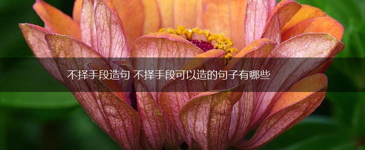 不择手段造句 不择手段可以造的句子有哪些,第1张