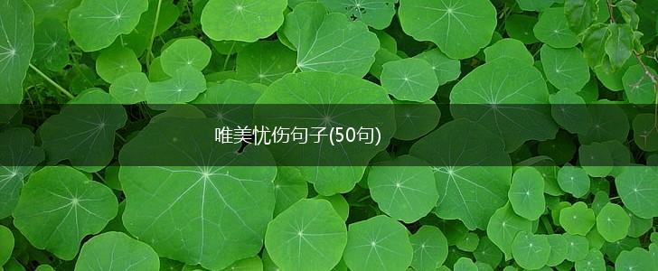 唯美忧伤句子(50句),第1张
