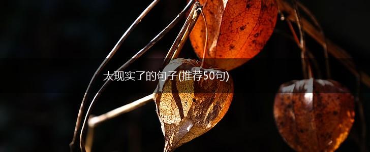 太现实了的句子(推荐50句),第1张