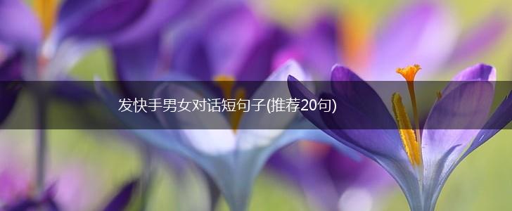 发快手男女对话短句子(推荐20句),第1张