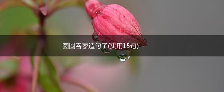 囫囵吞枣造句子(实用15句),第1张