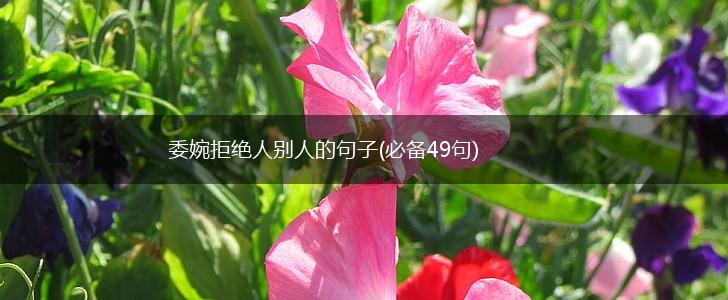 委婉拒绝人别人的句子(必备49句),第1张