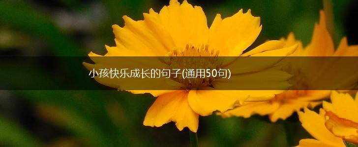 小孩快乐成长的句子(通用50句),第1张