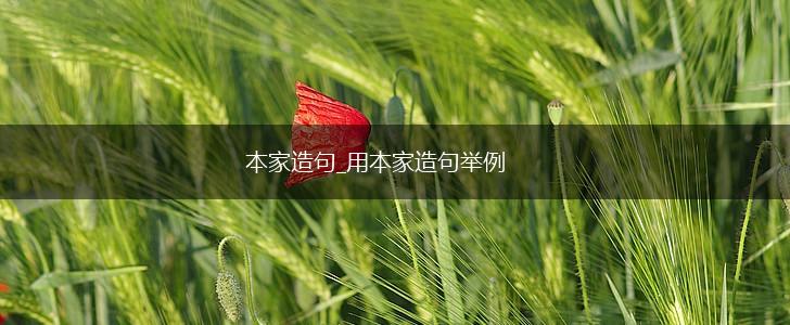 本家造句_用本家造句举例,第1张