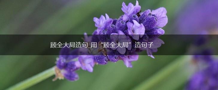 顾全大局造句_用“顾全大局”造句子,第1张 顾全大局造句_用“顾全大局”造句子,第1张