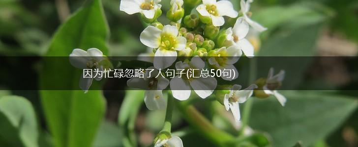 因为忙碌忽略了人句子(汇总50句),第1张