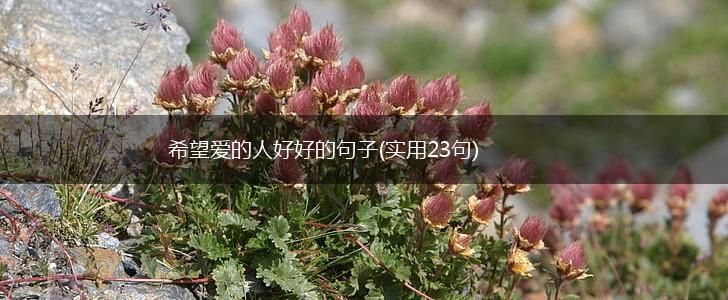 希望爱的人好好的句子(实用23句),第1张