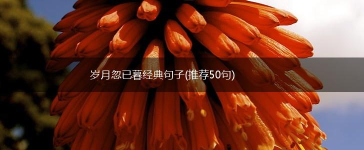岁月忽已暮经典句子(推荐50句),第1张