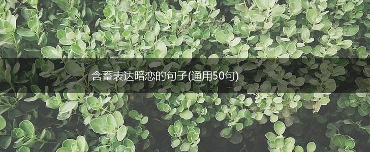 含蓄表达暗恋的句子(通用50句),第1张