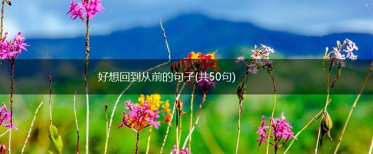 好想回到从前的句子(共50句),第1张