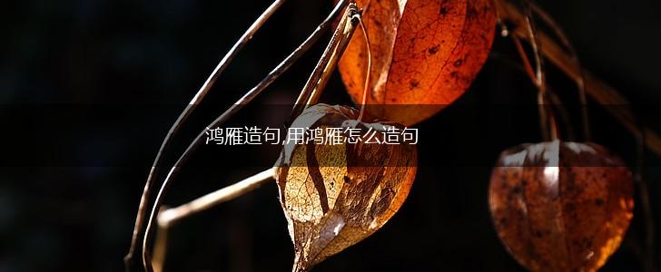 鸿雁造句,用鸿雁怎么造句,第1张 鸿雁造句,用鸿雁怎么造句,第1张