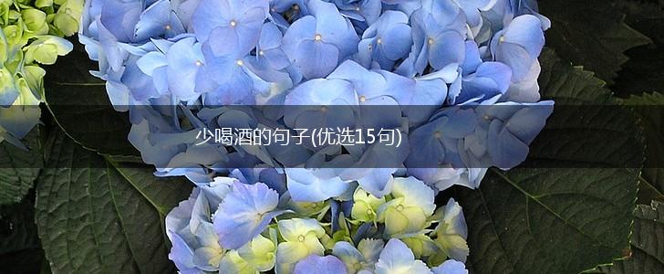 少喝酒的句子(优选15句),第1张