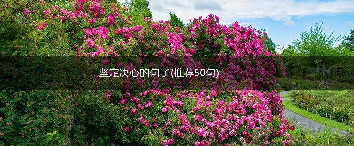 坚定决心的句子(推荐50句),第1张