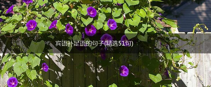 宾语补足语的句子(精选51句),第1张