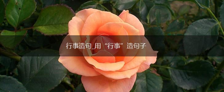 行事造句_用“行事”造句子,第1张 行事造句_用“行事”造句子,第1张