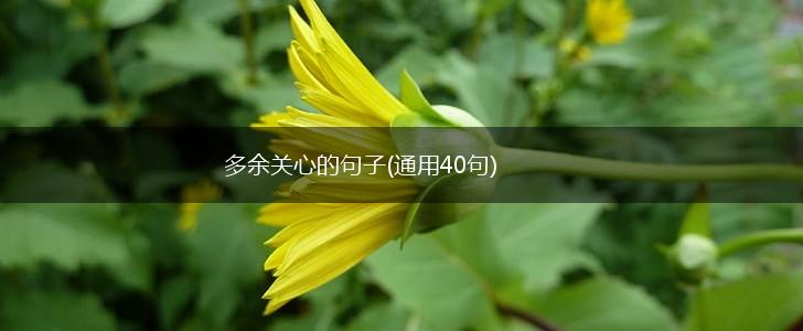 多余关心的句子(通用40句),第1张