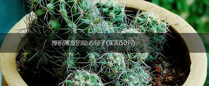 厚积薄发的励志句子(实用50句),第1张