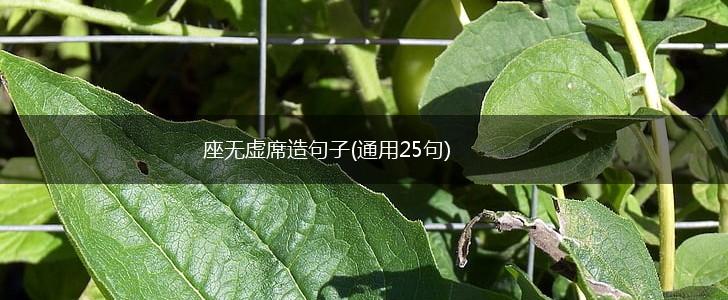 座无虚席造句子(通用25句),第1张
