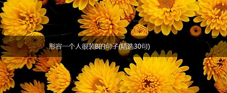 形容一个人很装B的句子(精选30句),第1张