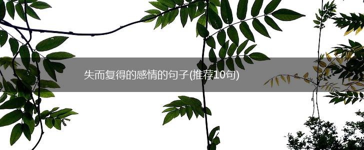 失而复得的感情的句子(推荐10句),第1张