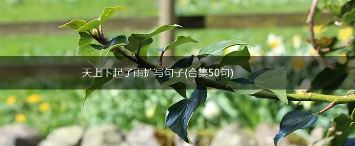 天上下起了雨扩写句子(合集50句),第1张