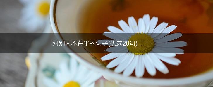 对别人不在乎的句子(优选20句),第1张