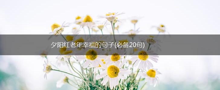 夕阳红老年幸福的句子(必备20句),第1张
