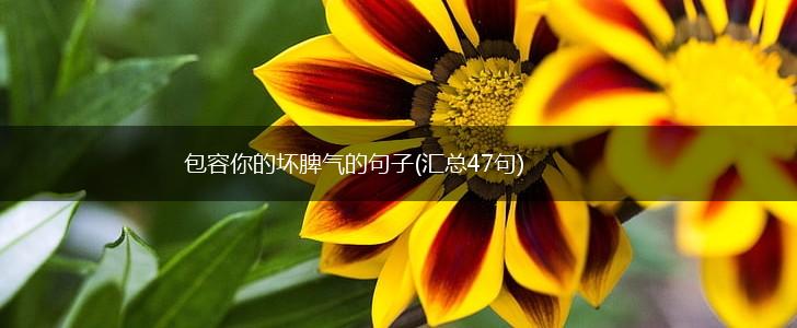 包容你的坏脾气的句子(汇总47句),第1张
